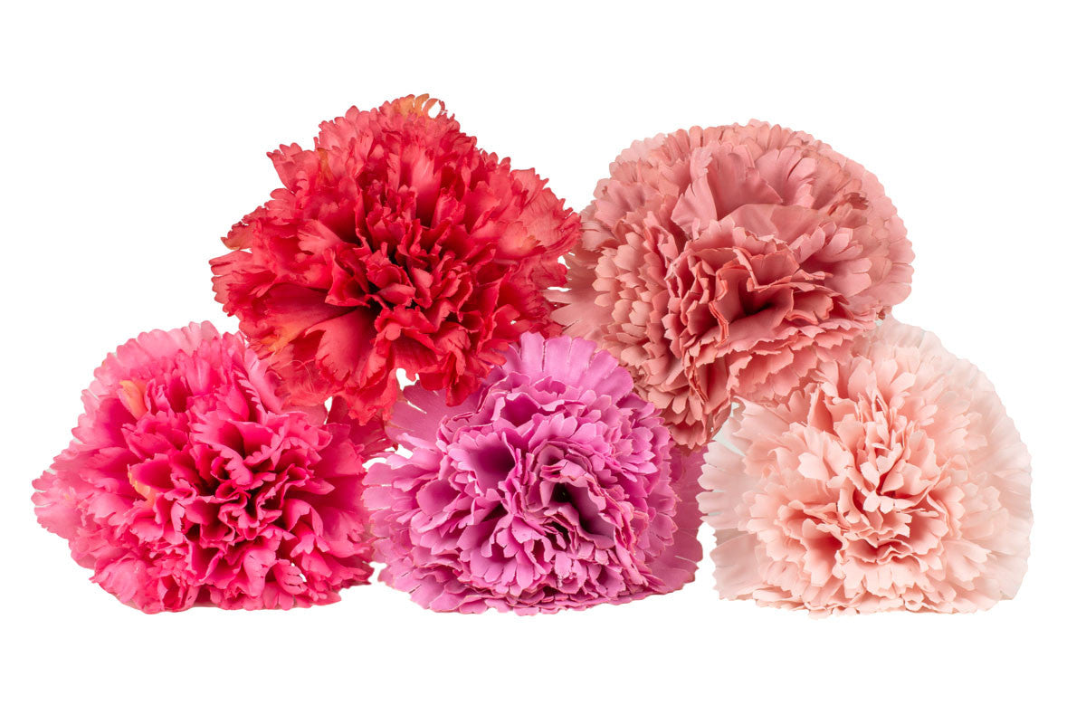 Flor de flamenca para niña estilo clavel MiBebesito